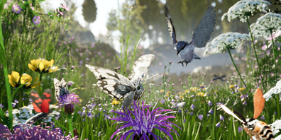 In die Welt der Insekten eintauchen: «Birdly Insects» machts möglich.