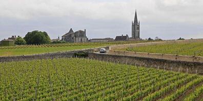 In der Weinregion in Südfrankreich hat ein Sturm grosse Schäden verursacht. (Symbolbild)