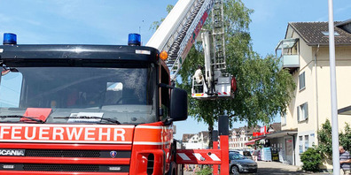 Ein Einsatz einmal anders: Kein Feuer sondern ein Bienenschwarm galt es zu bändigen.