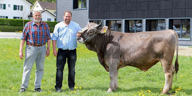 Jakob Niederer (l.), Spender, und Marcel Bürkli, Züchter, mit Siegermuni Diamant.