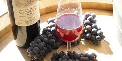 Reife Merlot-Trauben vom Rebberg La Prella im Mendrisiotto. Der Nationalrat möchte den Marketingbeitrag des Bundes an die Weinbauern in der Schweiz verdreifachen. (Themenbild)