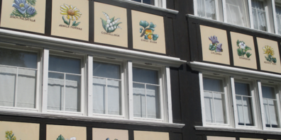 Die mit Heilkräutern geschmückte Hausfassade in Wolfhalden ist ein vielbewunderter Blickfang, der an die grosse Ausserrhoder Tradition der Naturmedizin erinnert.  