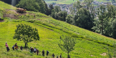 Schulklasse aus Oberegg bei der Arbeit (Foto: Urs Weber)