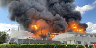 Der Kanton Aargau gibt Entwarnung: Der Boden in der Umgebung ist nach dem Grossbrand in Spreitenbach AG nicht mit problematischen Stoffen belastet. (Archivbild)