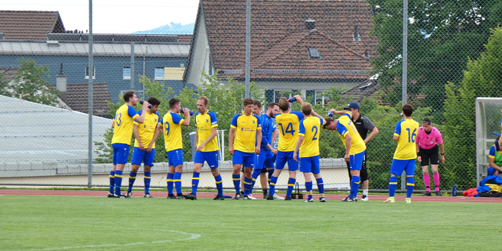 Hatten auch am Wochenende allen Grund zum Jubeln: Die Spieler des FC Teufen.