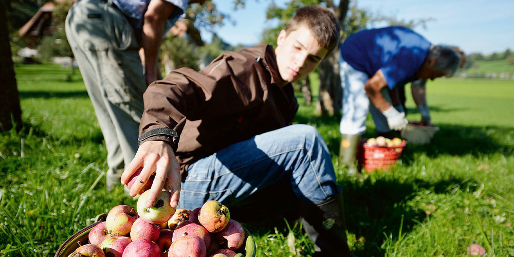 Die Jugendlichen werden bei ihrem Agriviva-Einsatz in den Alltag der Bauernfamilie integriert.