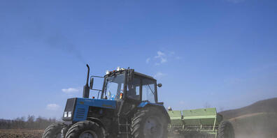 ARCHIV - Arbeiter pflügen ein Weizenfeld im Westen der Ukraine. Foto: Nariman El-Mofty/AP/dpa