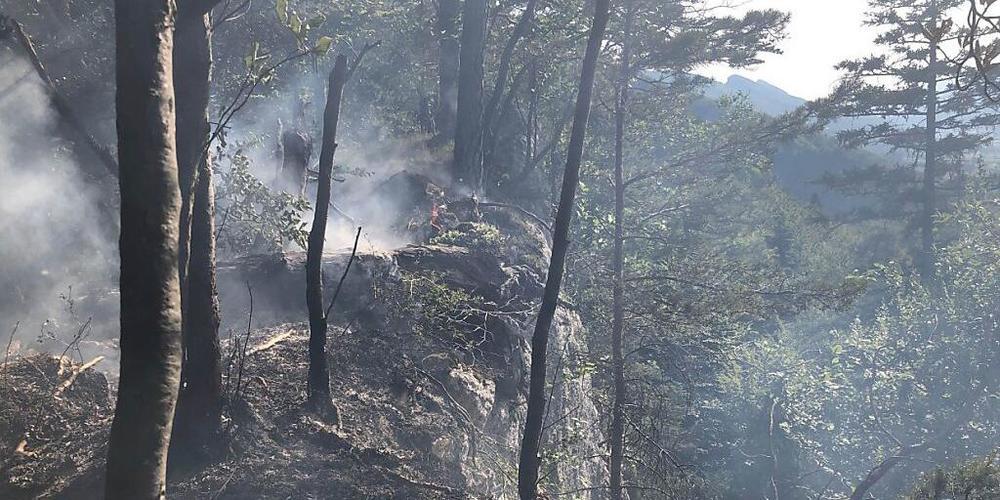 Zum Löschen des Waldbrandes auf dem Roggen bei Balsthal SO ist auch ein Helikopter eingesetzt worden.
