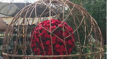 Der Rosenglobus von Blumen Nützi aus Oberuzwil zählt zu den Highlights der Ausstellung in Bischofszell.