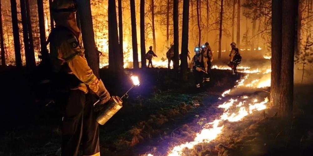dpatopbilder - Einsatzkräfte der Hilfsorganisation @fire legen Gegenfeuer, um eine weitere Ausbreitung des Waldbrandes zu verhindern und die Feuerwehr bei der Bekämpung des Feuers zu unterstützen. Der Waldbrand bei Beelitz (Potsdam-Mittelmark) ist...