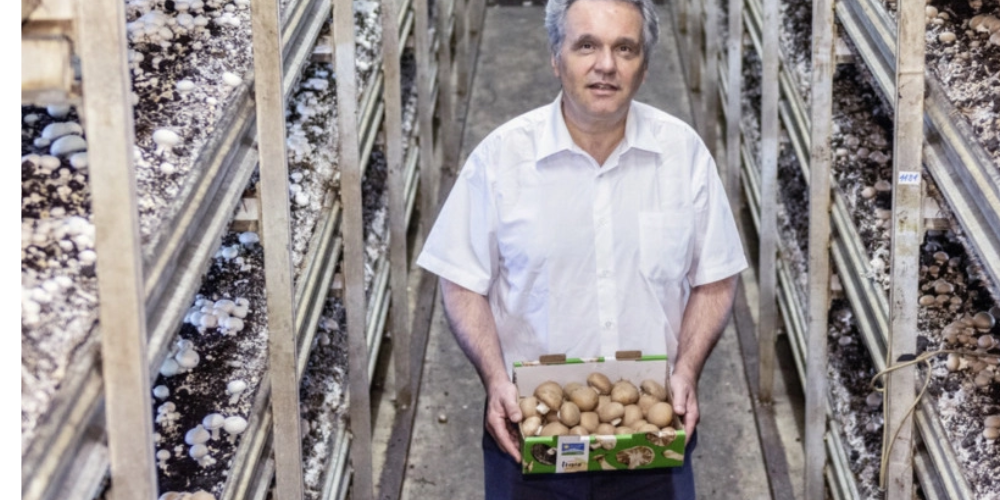 Firmeninhaber Christoph Widmer