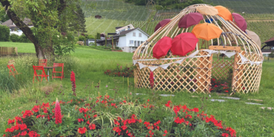 Blumen, Betonelemente und Hochbeetsubstrat wird verkauft