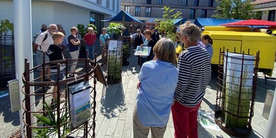 Die Ausstellung «Invasive Neophyten» bietet Gelegenheit sich in natura über die verbreitetsten exotischen Problempflanzen zu informieren.