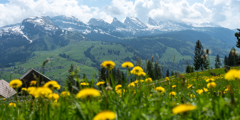Die Route der Frühlingsausgabe mit freier Sicht auf die Churfirsten.