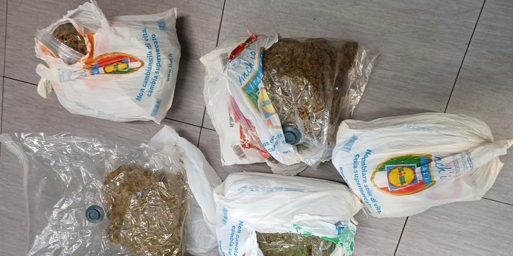 Das Marihuana war in Beutel von Lidl Italia  verpackt.