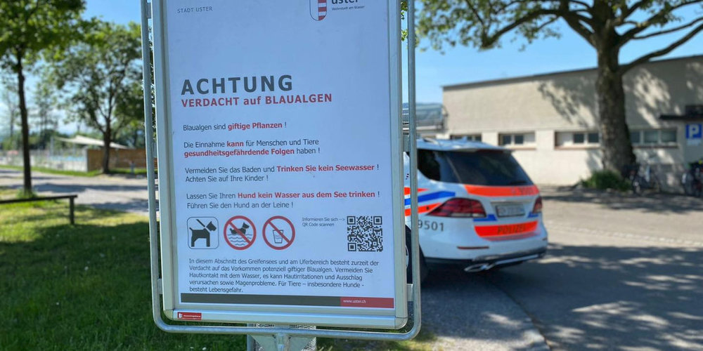Die Stadtpolizei Uster warnt u.a. mit Plakaten vor den gefährlichen Blaualgen im Greifensee.