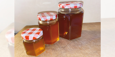 Wenn die Gläser gut desinfiziert sind und der Löwenzahnhonig kühl und dunkel gelagert wird, sollte dieser etwa sechs bis zwölf Monate haltbar sein.