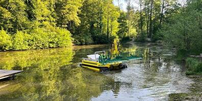 Das Spezialboot schneidet und rupft das Tausendblatt im Winterthurer Walcheweiher.