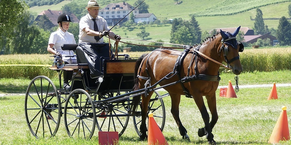 Am Sonntag steht nach der Mittagpause der OKV-Fahrcup auf dem Programm