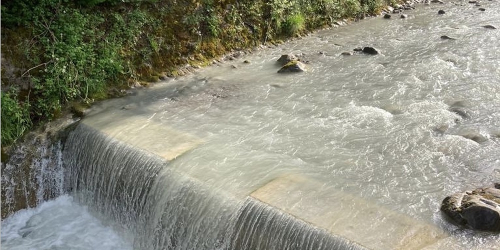 Die Meng ist ein wildbachähnliches Gewässer, das doch eine starke Strömung aufweist