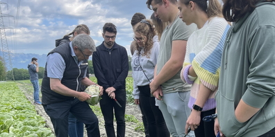 Bei Giger Gemüsebau in Sevelen wurde den Studierenden der richtige Umgang mit Gemüse nähergebracht. 