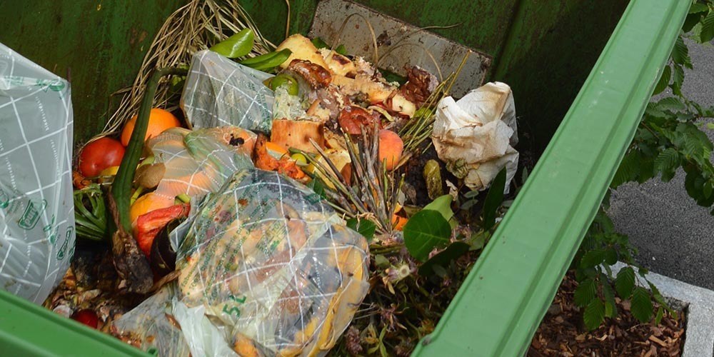Die kompostierbaren Säcke gehören seit Anfang Jahr in der March nicht mehr ins Grüngut. 