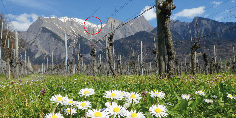 In diesem Gebiet stürzte der Gleitschirmpilot am frühen  Sonntagnachmittag ab. 