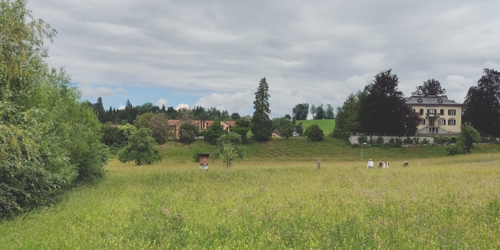 Herbert Oberholzer meint: «Der Rollpark gehört ins Grünfeld, nicht ins Grünfels.»