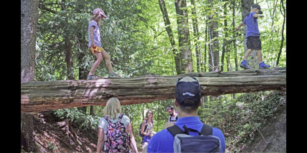 Immer wieder laden die umgestürzten Bäume zu spontanen kleinen Mutproben ein. 