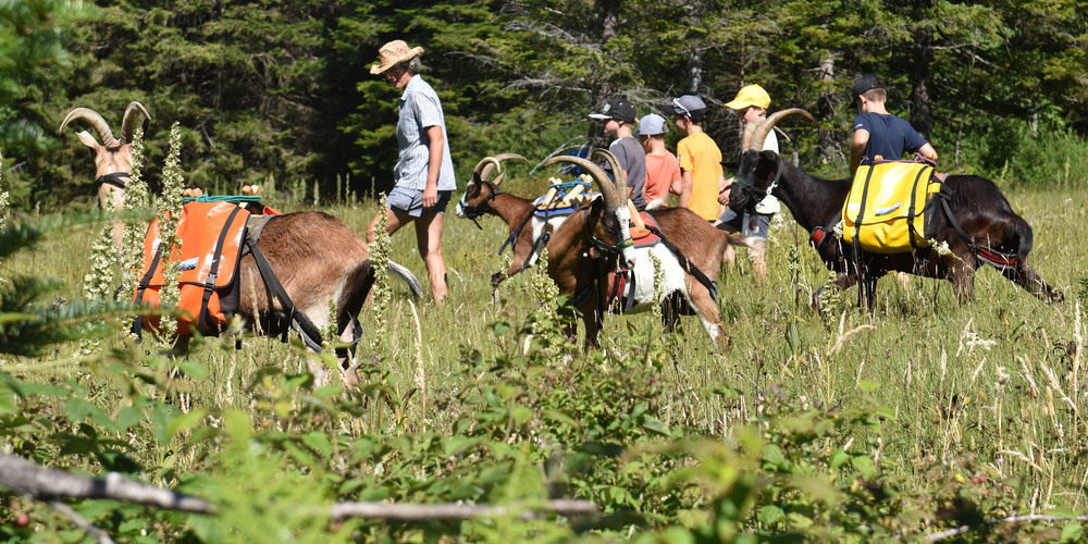 Unterwegs mit den Packgeissen über Stock und Stein. 