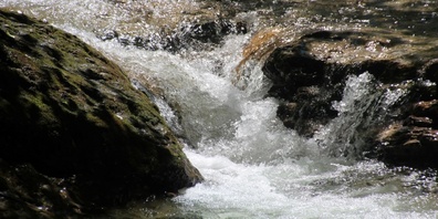 Das eindrucksvolle, sprudelnde Wasser des Neckers.