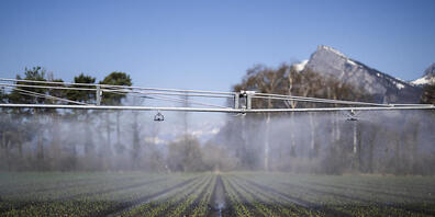 Die Trockenheit wirkt sich in allen Regionen des Kantons St. Gallen aus. Landwirtschaftliche Kulturen sollen nur morgens oder nachts bewässert werden. (Symbolbild)