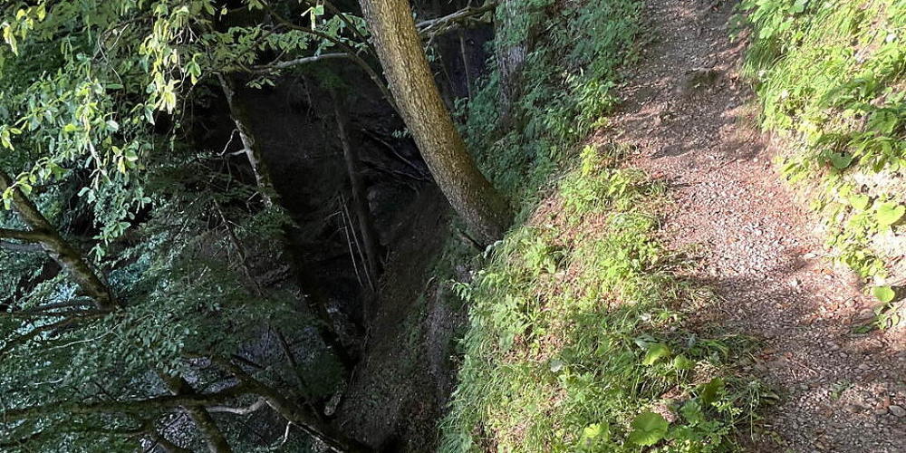 Die Frau stolperte und fiel rund 15 Meter den Hang hinunter.