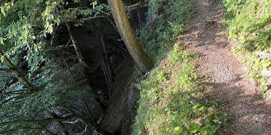 Die Frau stolperte und fiel rund 15 Meter den Hang hinunter.