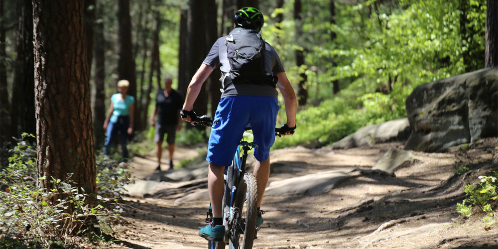 Mountainbike-Kodex für ein friedliches und respektvolles Miteinander in der Natur.