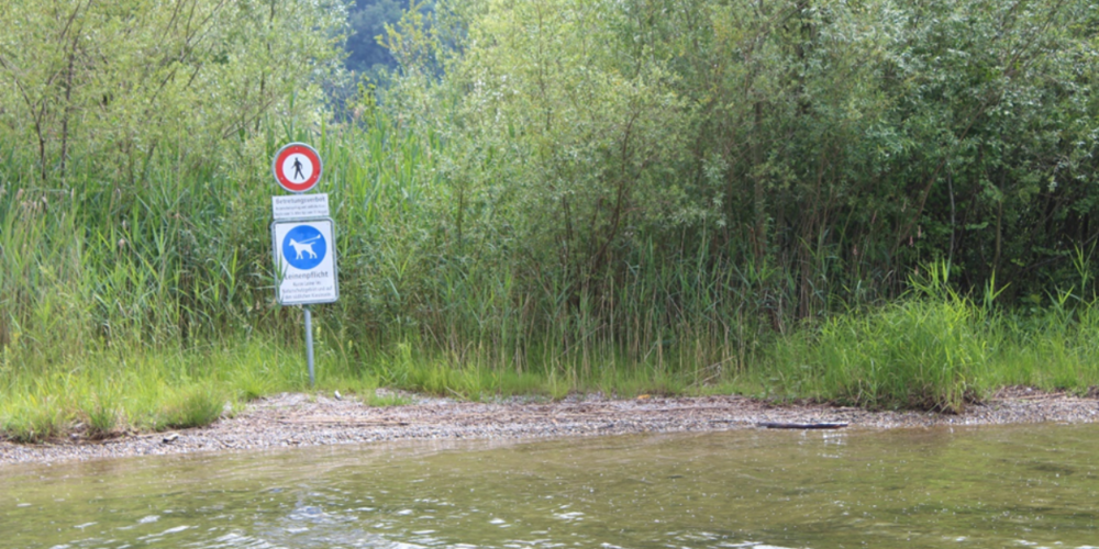Wer mit Kindern in der Natur unterwegs ist, kommt nicht vom Fleck. Fragen über Fragen, Spielereien und interessante Beobachtungen führen zu vielen Stopps, welche sich lohnen.