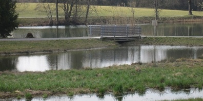 Schübelweiher.