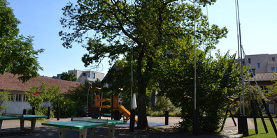  Der dreigeschossige Pavillon würde direkt vor dem Hortgebäude erstellt. Der Spielplatz käme weg. Vier Bäume sollen gefällt werden. 
