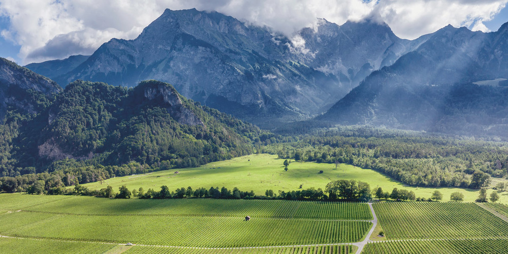 Das Fläscher Feld ist Resultat einer pharaonischen Melioration in den Sechzigerjahren, ein Stein am Rand der Weinlandschaft erinnert daran.