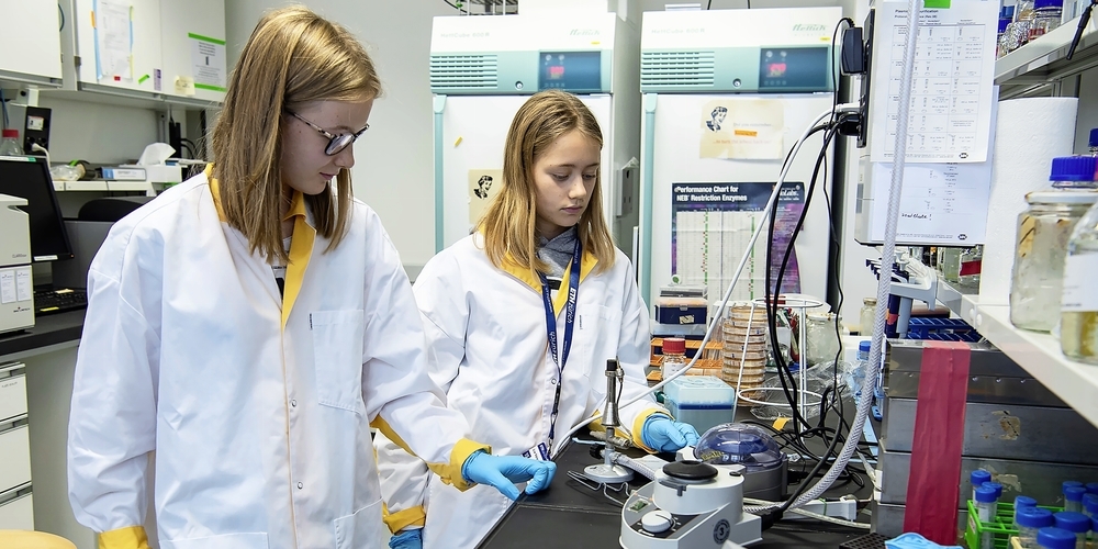Einmal Forschungsluft schnuppern an der weltberühmten ETH Zürich. Ein Start für eine Wissenschaftszukunft?