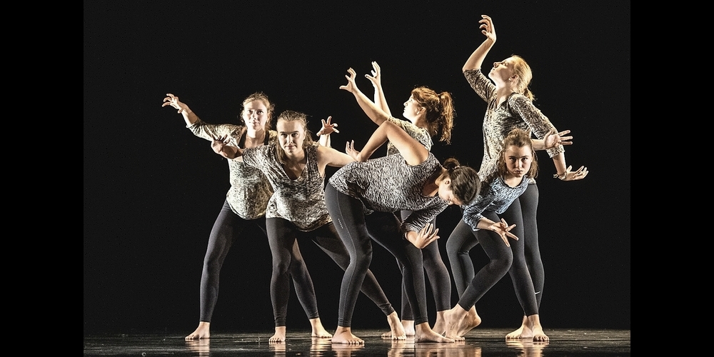 Die Tanzgruppe zeigt Choreografien von jetzigen und ehemaligen Mitgliedern.