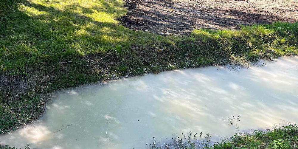 Durch eine Verschmutzung mit Beton starben in diesem Bach in Bütschwil SG Hunderte von Fischen.