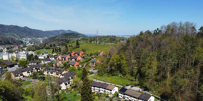 Die bestehenden grossen Strommasten in Gattikon können abgebrochen werden, wenn Swissgrid ihre neue Leitung in Betrieb nimmt.