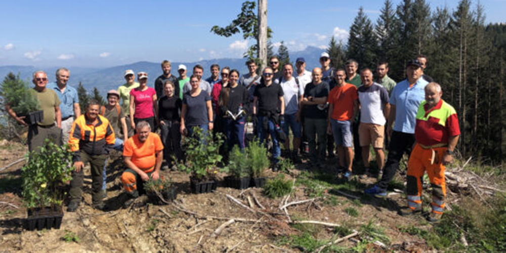 Dreissig Mitarbeitende des Umweltdepartements unterstützen private Waldeigentümer bei der Wiederbewaldung der Schadenflächen. 