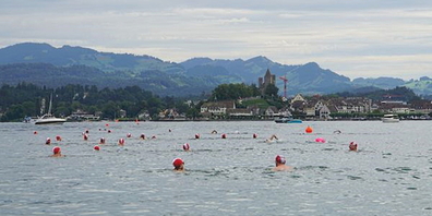 314 SchwimmerInnen traten zu den 1.5 Kilometern im Wasser zwischen der Insel Lützelau und Rapperswil an.