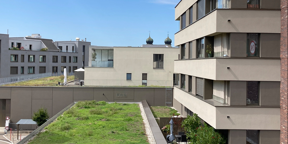 Teures Pflaster Kanton Schwyz: Sowohl bei Eigentumsals auch bei Mietwohnungen präsentiert sich die Preislage rekordmässig.