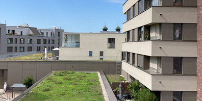 Teures Pflaster Kanton Schwyz: Sowohl bei Eigentumsals auch bei Mietwohnungen präsentiert sich die Preislage rekordmässig.