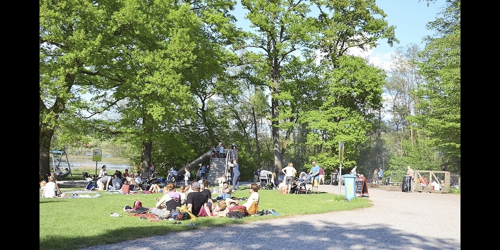 Die SVP stellt Baumfällungen am Katzensee infrage.