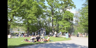 Die SVP stellt Baumfällungen am Katzensee infrage.