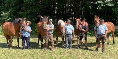 Die Rheintaler Holzrücker mit ihren Pferden: v.l. Omero, Bea Giger, Othello, Andreas Giger, Lolita, Dominik Sieber, Nic, Sandro Rohner, Aragon, Rolf Lüchinger